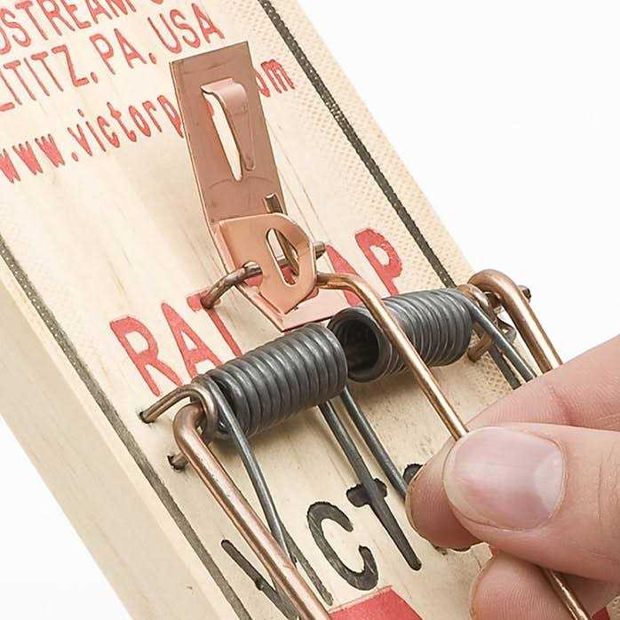 Trap Rat Victor - Image 5