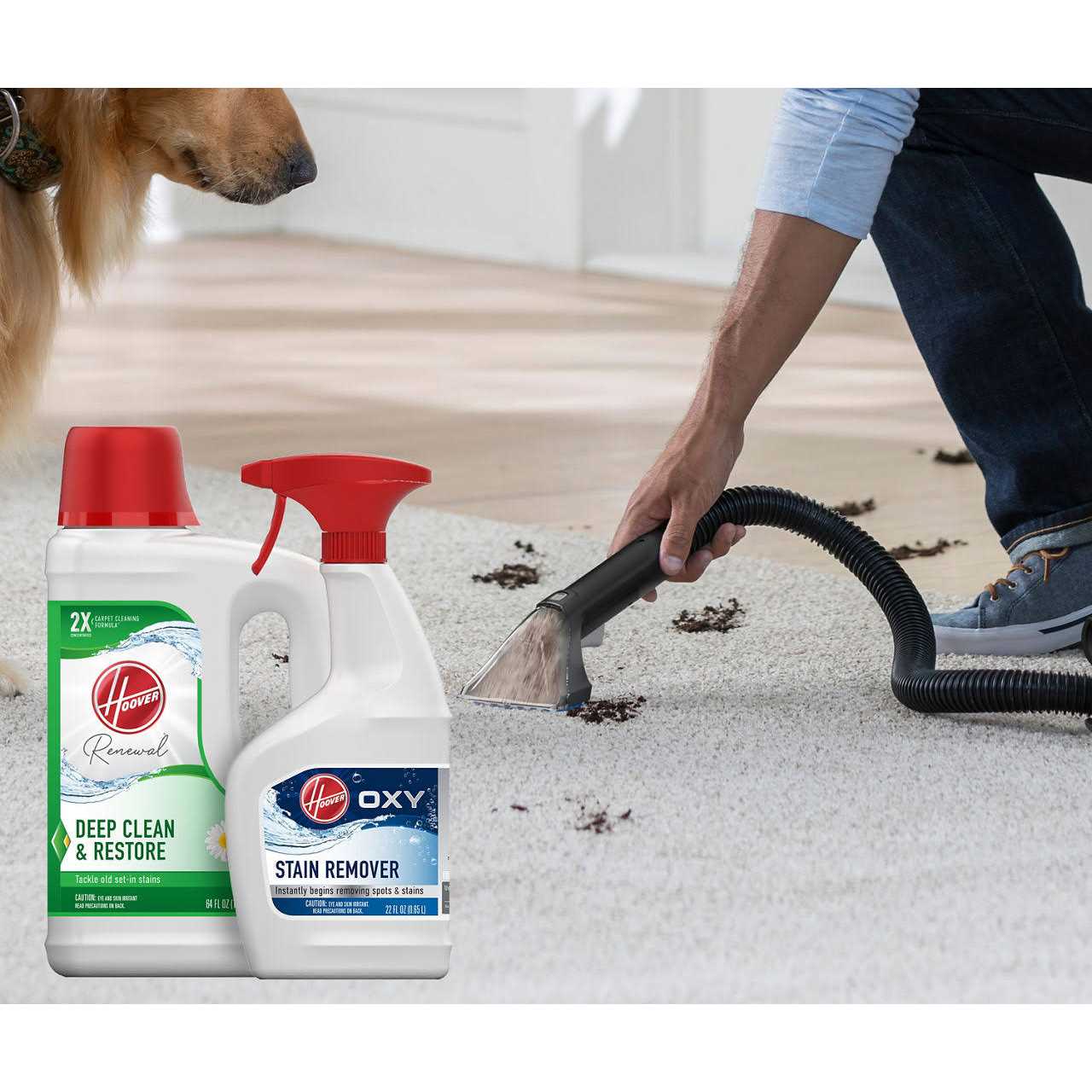 Hoover Renewal Deep Cleaning Carpet - Image 4