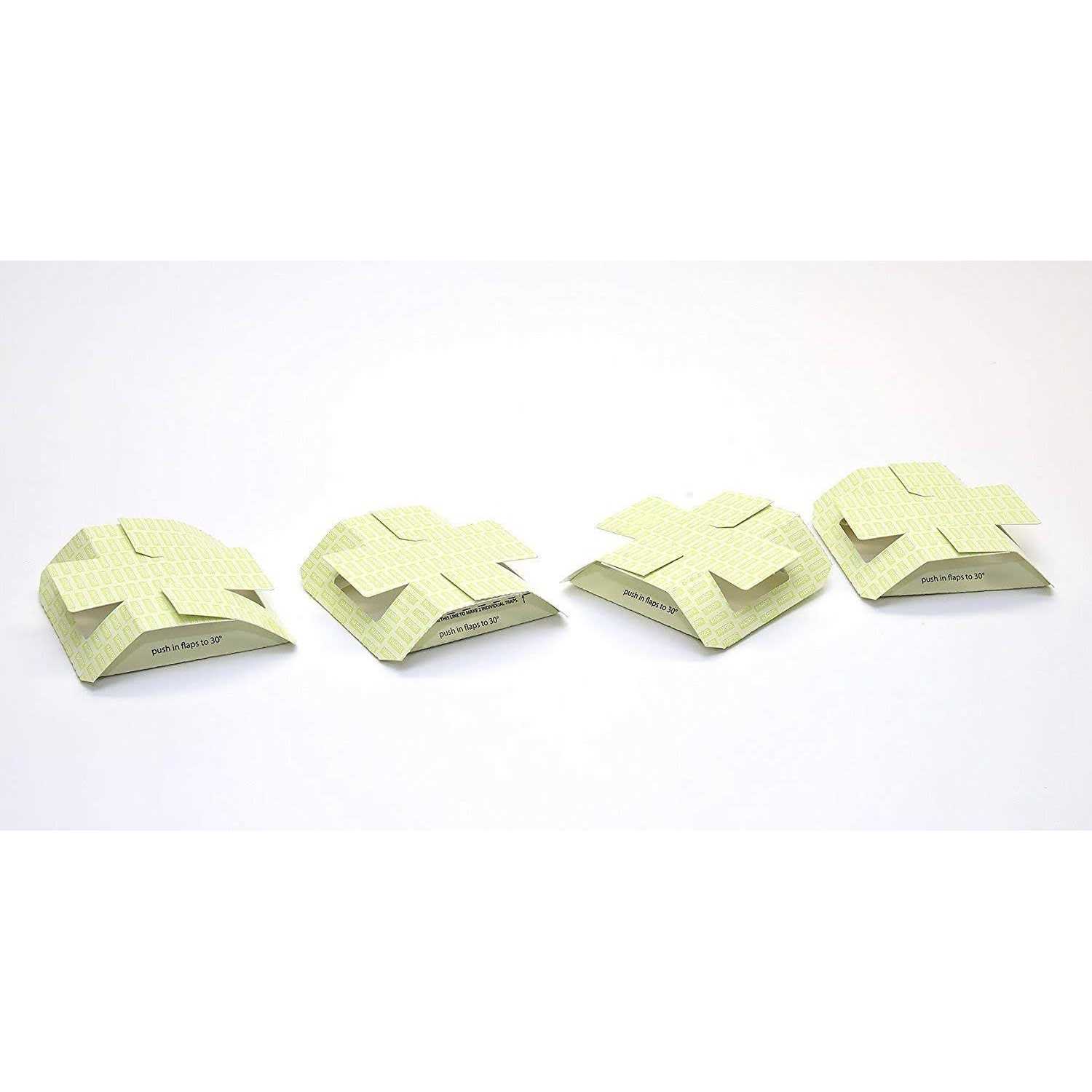 Harris Bed Bug - Image 4