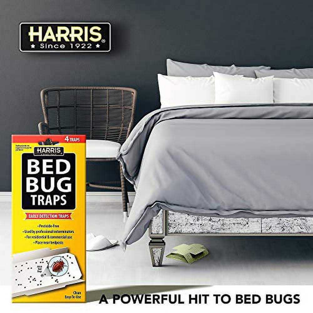 Harris Bed Bug - Image 5