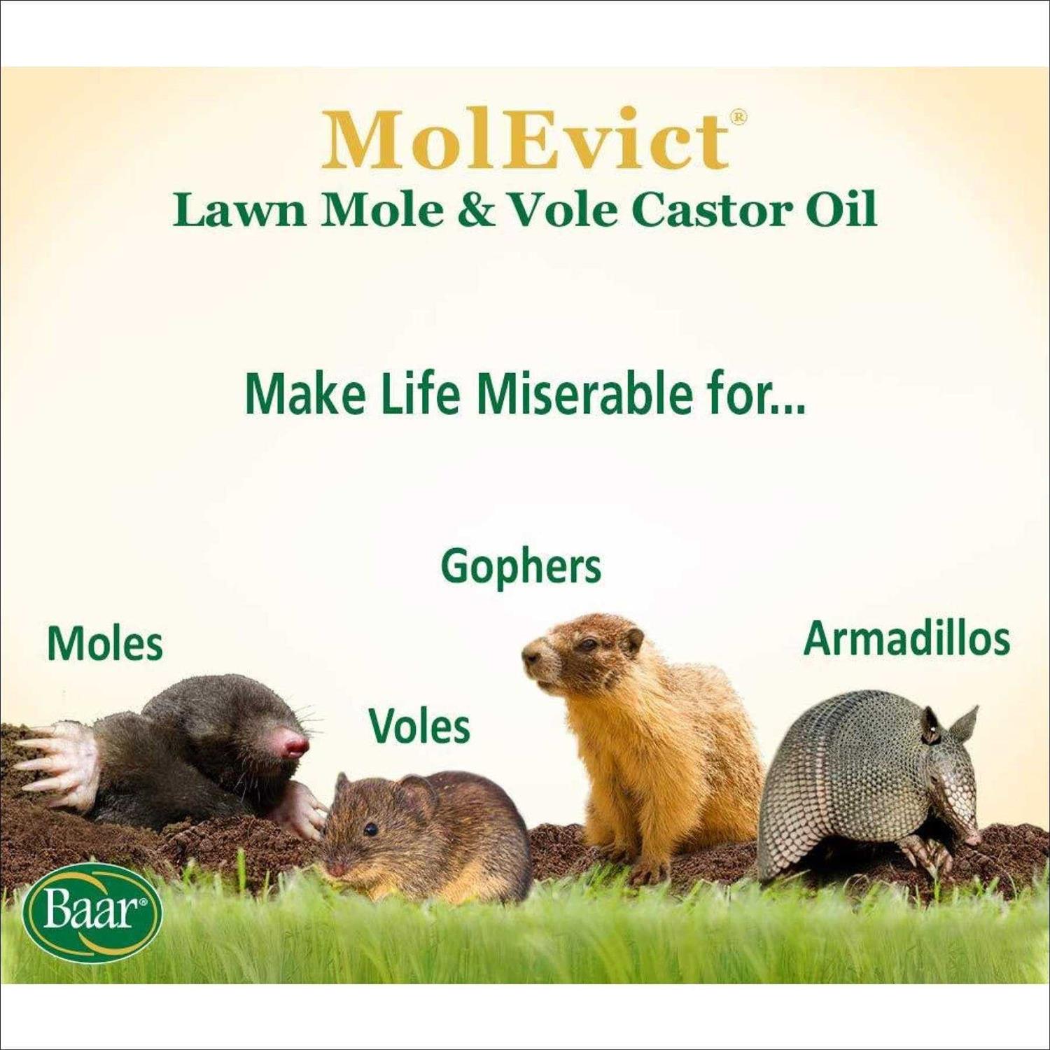 Baar Lawn Mole Castor Oil - Image 3