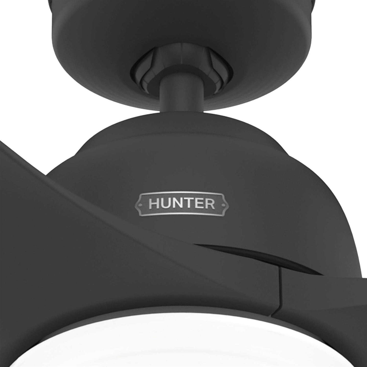 Hunter Gallegos Matte LED 52 Ceiling Fan - Image 5