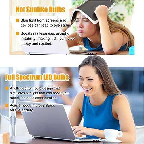 Neporal Full Spectrum Light Bulb 6000k Natural Sunlight Bulbs Cool W - Image 5