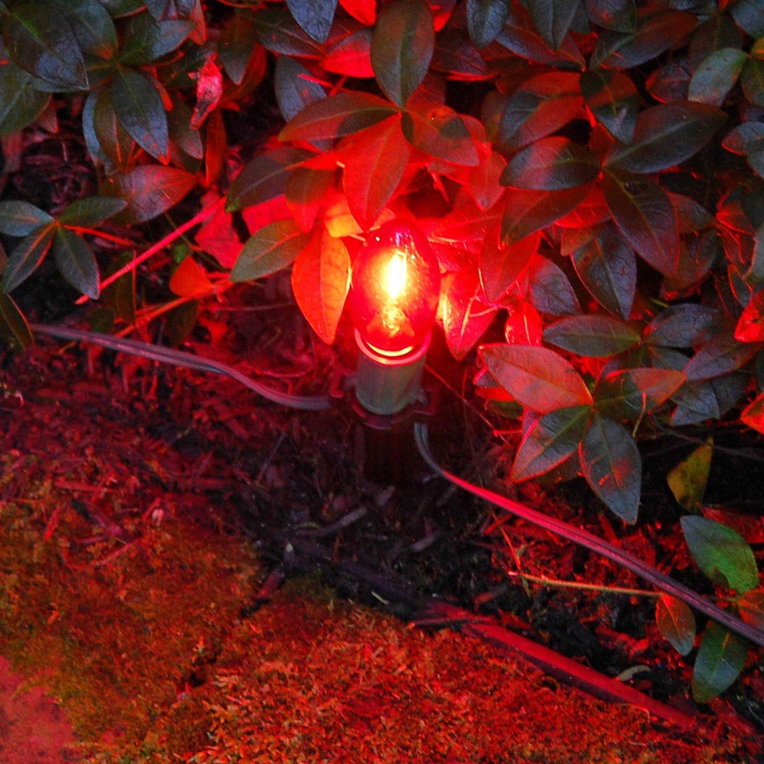 LumaBase Electric LED Pathway Lights - Image 4