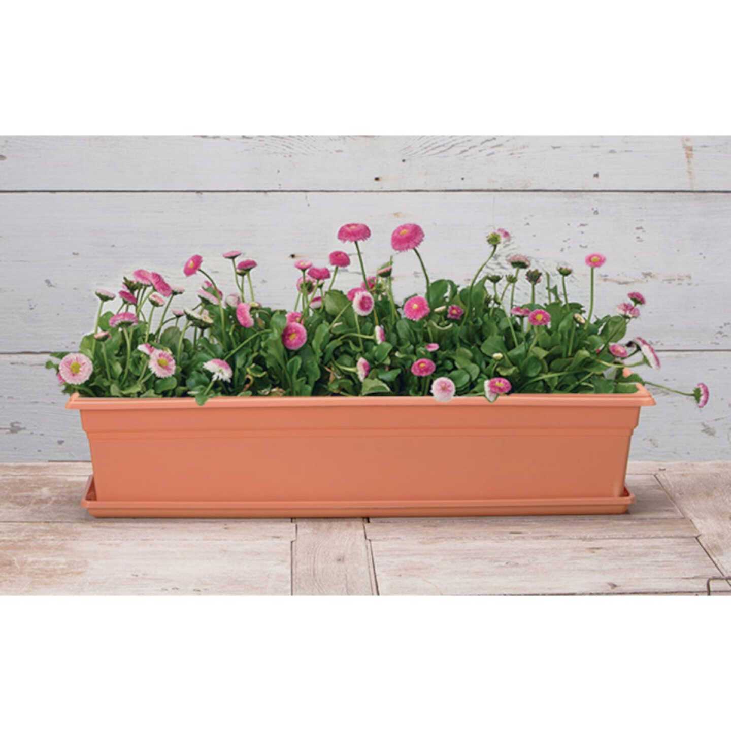 Novelty Countryside Flower Box Tray - Image 5