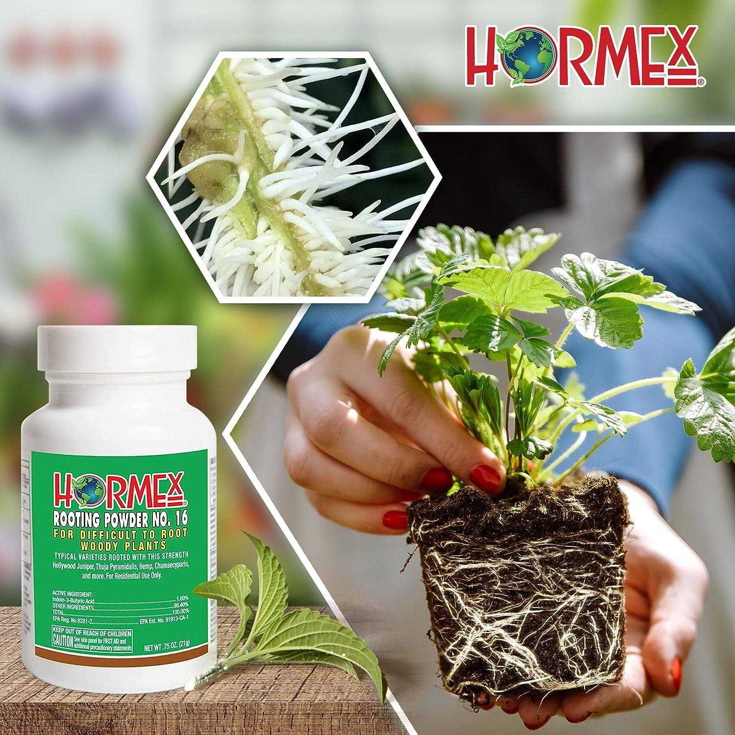 Hormex Rooting Powder - Image 4