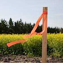 Greenes Fence Wood Garden Stake - Image 5