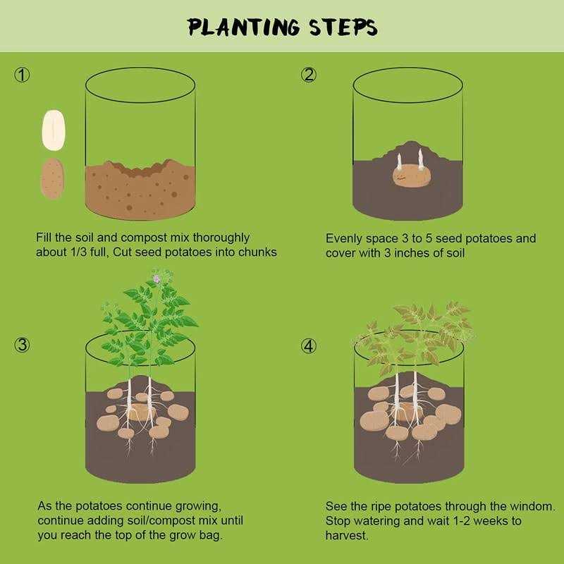 Homyhoo Potato Grow Bags with Flap 10 Gallon, 4 Pack Planter Pot with Handles and Harvest Window for Potato Tomato and Vegetables, Black and Gray - Image 3
