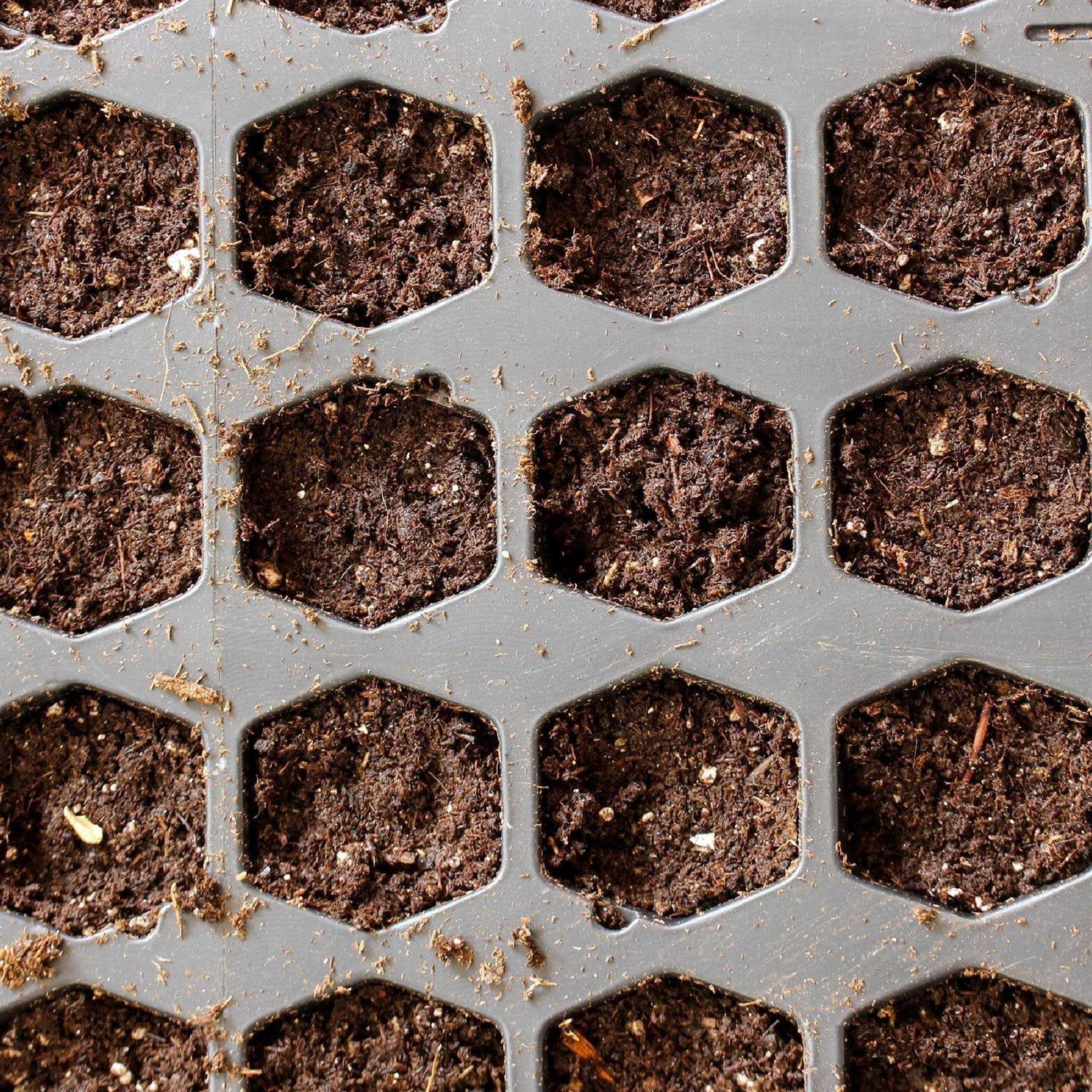 Jiffy Natural & Organic Seed Mix - Image 3